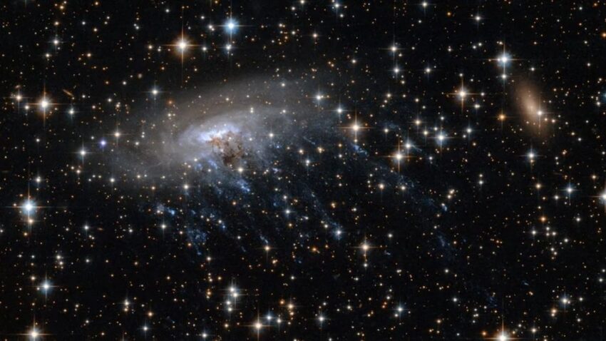 Webb Telescope Spots Possible Jellyfish Galaxy 12 Billion Light-Years Away