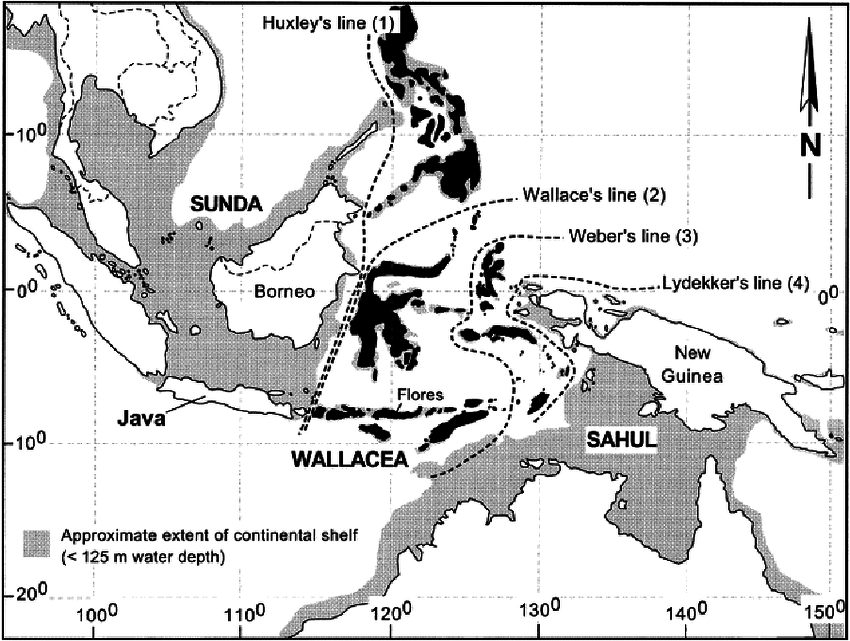 map of Wallacean islands